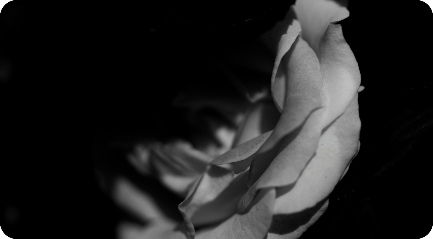 Holger Renner - Trauerredner